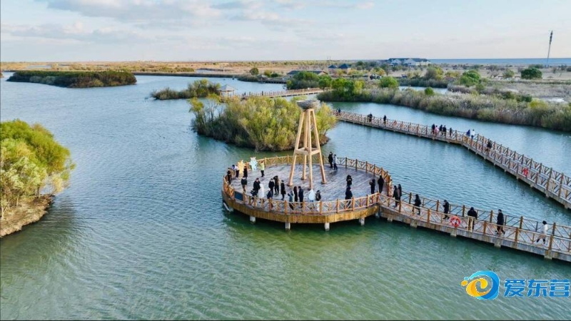 不仅是创造 不仅是创造