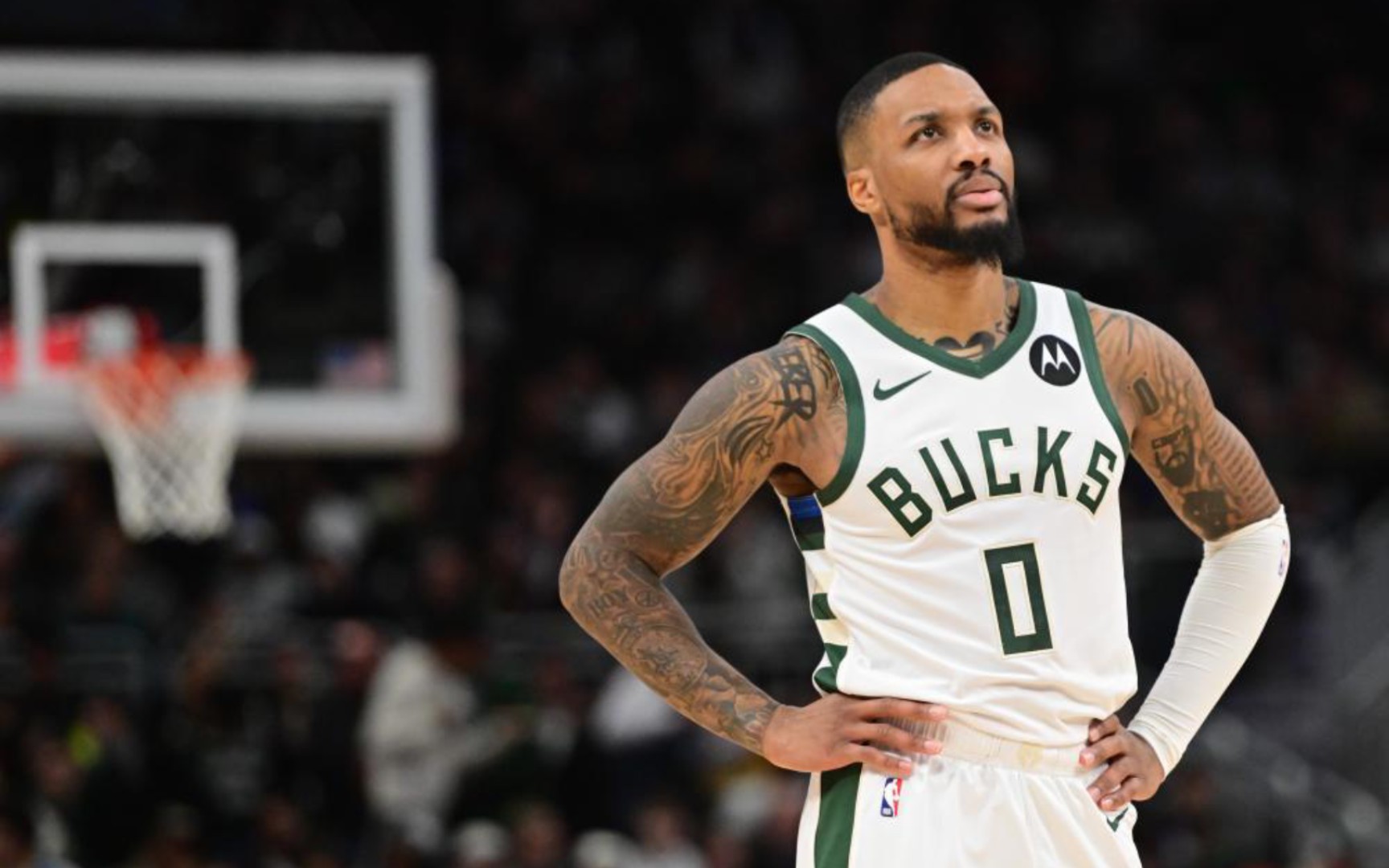 哪怕风雨无 哪怕风雨无