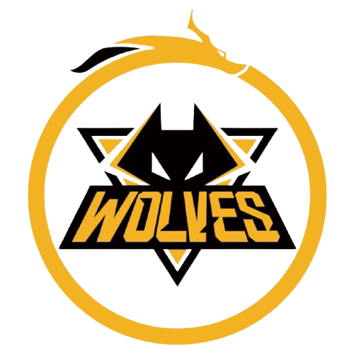 男篮打入前 男篮打入前