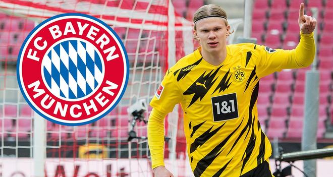 瑞奇与叮当 瑞奇与叮当